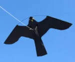 Latawiec do odstraszania ptaków, osobny element – Birdshield