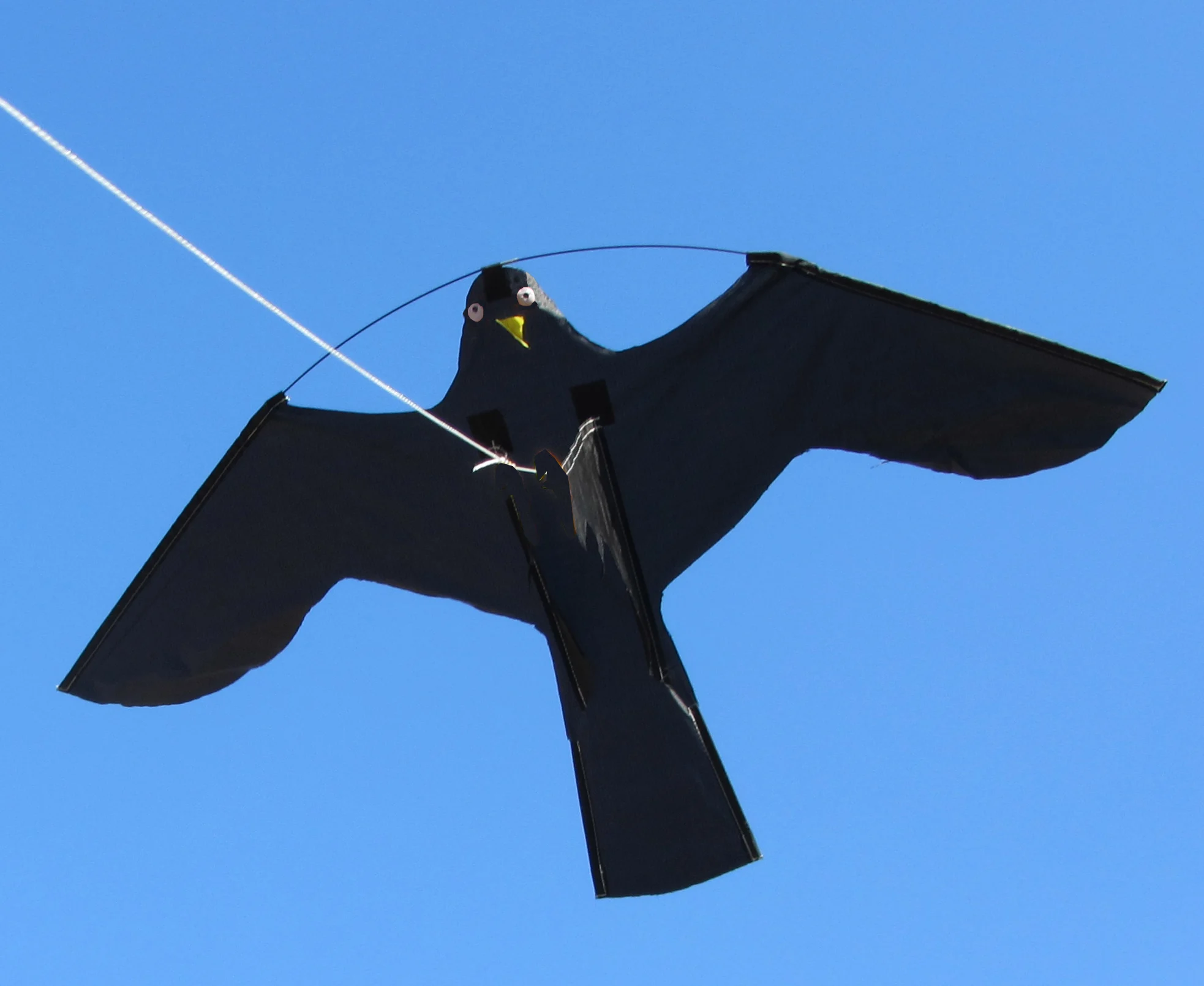 Latawiec do odstraszania ptaków, osobny element – Birdshield - obrazek 1