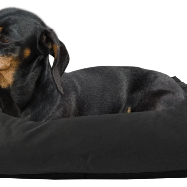 Legowisko dla psa z impregnowaną górną częścią i antypoślizgowym spodem, czarne, S, 65 x 55 cm – Bodyguard Sofa Bed