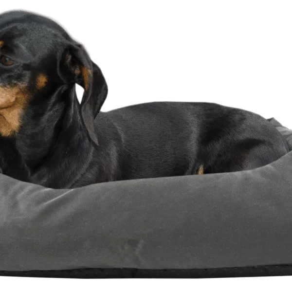 Legowisko dla psa z impregnowaną powierzchnią i antypoślizgowym spodem, szare, S 65 x 55 cm – Bodyguard Sofa Bed
