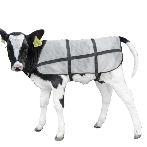 Letnia derka dla cieląt, przewiewna, długość grzbietu 70 cm – Bodyguard Calf Summer Blanket