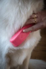 Szczotka dla psa do mycia i masażu Medium różowa, 17,5 cm – Excellent Pets Grooming Brush - obrazek 4