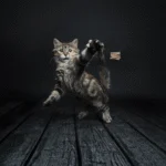 Interaktywna zabawka dla kota – Cat Dancer Deluxe - obrazek 2