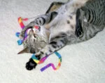Interaktywna zabawka dla kota – Cat Dancer Cat Charmer - obrazek 2