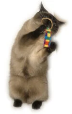 Zestaw zabawek dla kota, 2 sztuki – Cat Dancer Ring Tail Chasers - obrazek 2