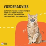 Proszek z lizyną dla kotów z witaminą B6, 50 g – Excellent Pets L-Lysine - obrazek 3