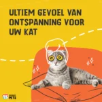 Spray z kocimiętką do zabawek i transporterów, 150 ml – Excellent Pets Catnip Spray - obrazek 4