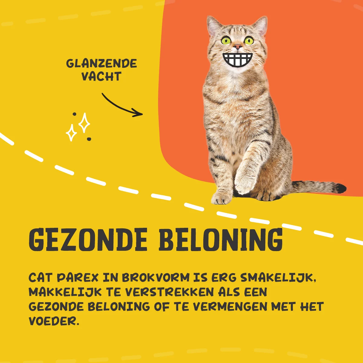 Suplement dla kotów w formie granulek z prebiotykami, 60 g – Excellent Pets Cat Parex - obrazek 6