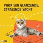 Suplement dla kotów w formie granulek z prebiotykami, 60 g – Excellent Pets Cat Parex - obrazek 3