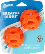 Piłka dla psa do aportowania, pływająca, Ø 6 cm, 2 sztuki – Chuckit! Air Fetch Ball