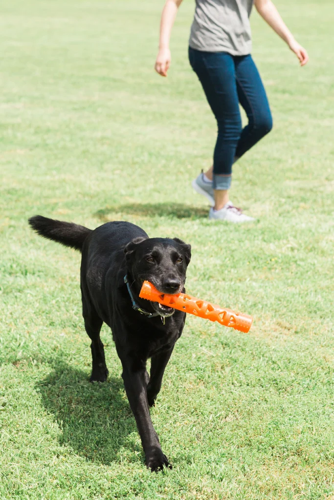 Aport z miękkiej gumy, pływający, 31 cm – Chuckit! Air Fetch Stick - obrazek 5