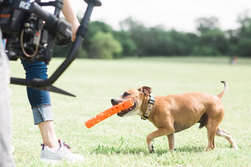 Aport z miękkiej gumy, pływający, 31 cm – Chuckit! Air Fetch Stick - obrazek 6