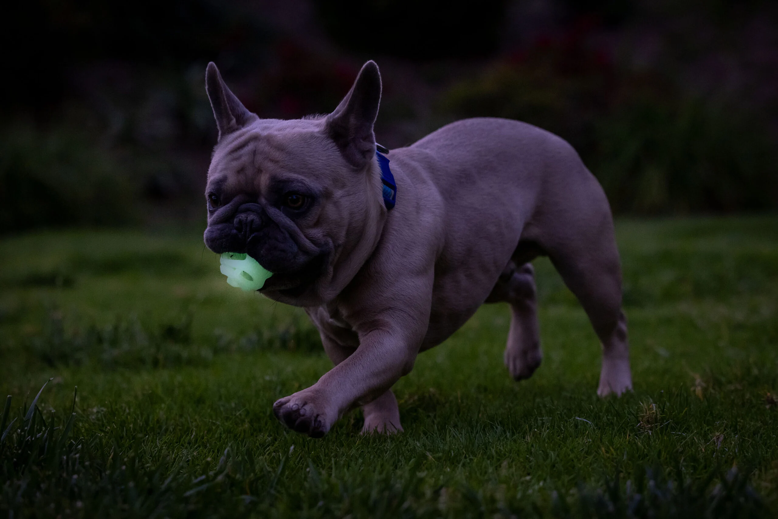 Świecąca piłka dla psa M, pływająca, 6 cm, 2 sztuki – Chuckit! Air Glow Fetch Ball - obrazek 4