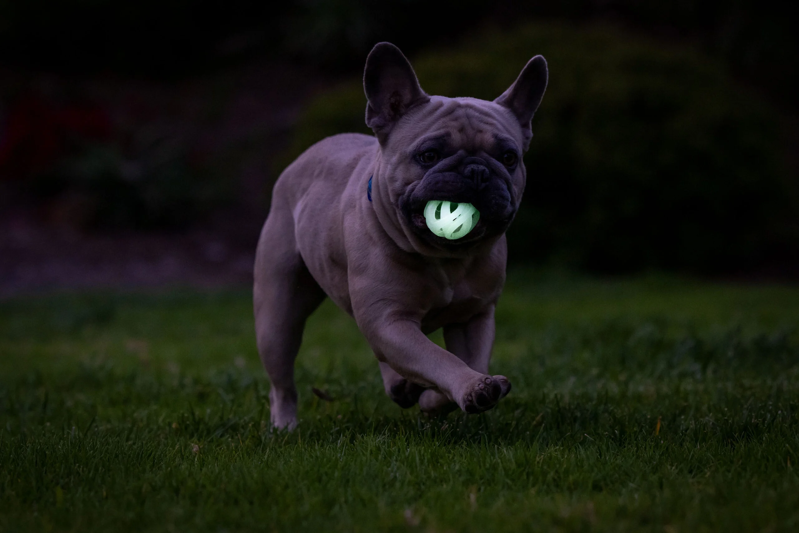 Świecąca piłka dla psa S, pływająca, 4,5 cm, 2 sztuki – Chuckit! Air Glow Fetch Ball - obrazek 5