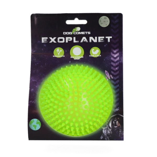 Piłka jeż dla psa z piszczałką, zielona, L, 10,5 cm – Dog Comets Exoplanet