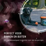 Gumowe piłki dla psów z wiaderkiem, 6 sztuk M – Dog Comets Meteor Shower - obrazek 2