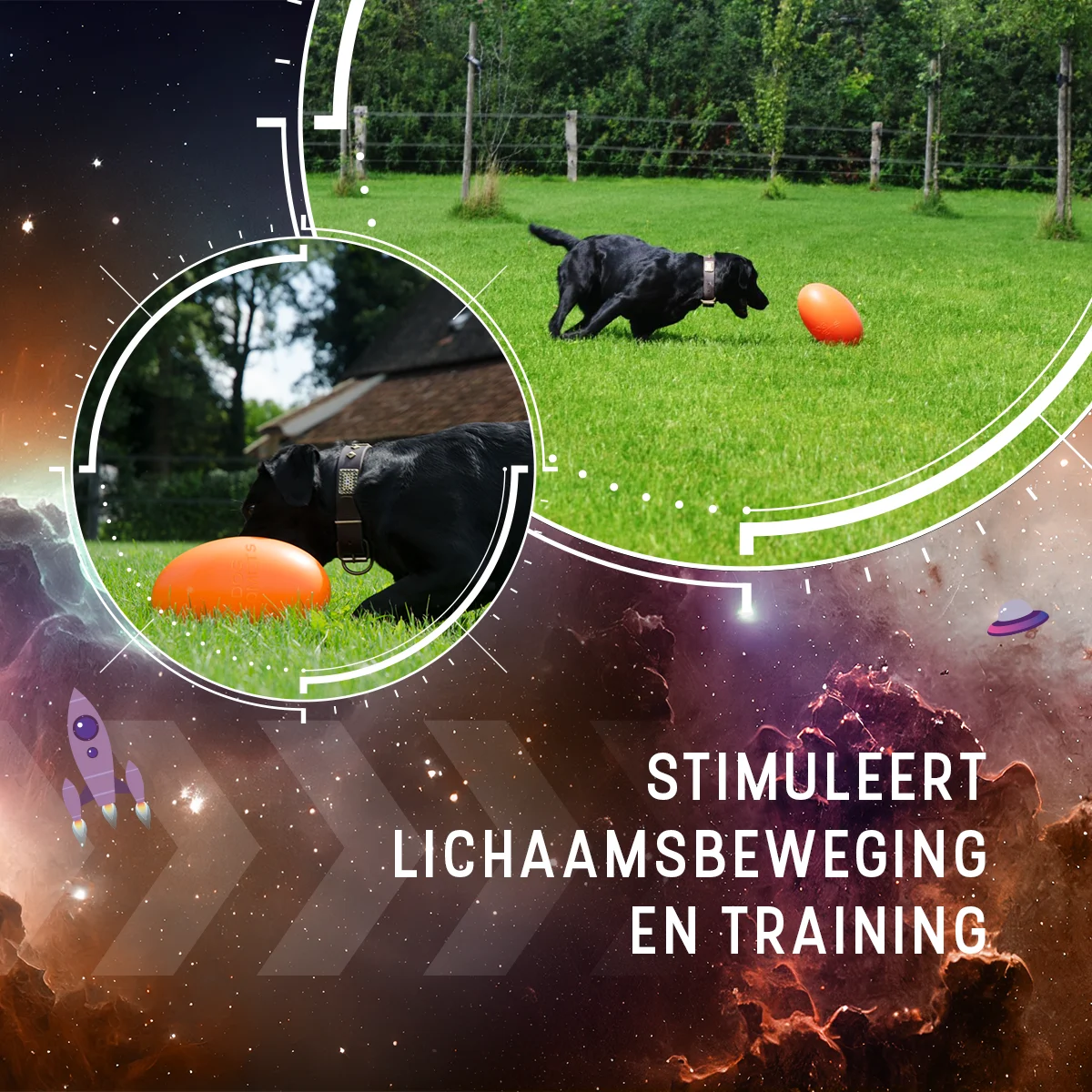 Zabawka do aportowania dla psa, pływająca, 20 cm, pomarańczowa – Dog Comets Pan-Stars - obrazek 6