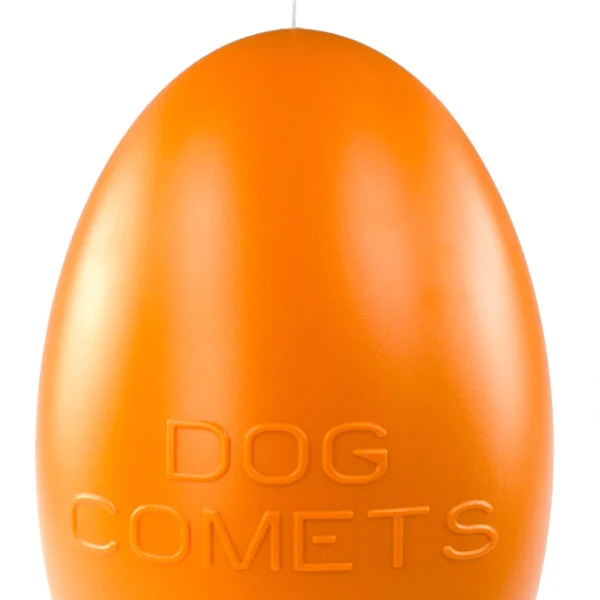 Zabawka do aportowania dla psów, pływająca, 30 cm, pomarańczowa – Dog Comets Pan-Stars