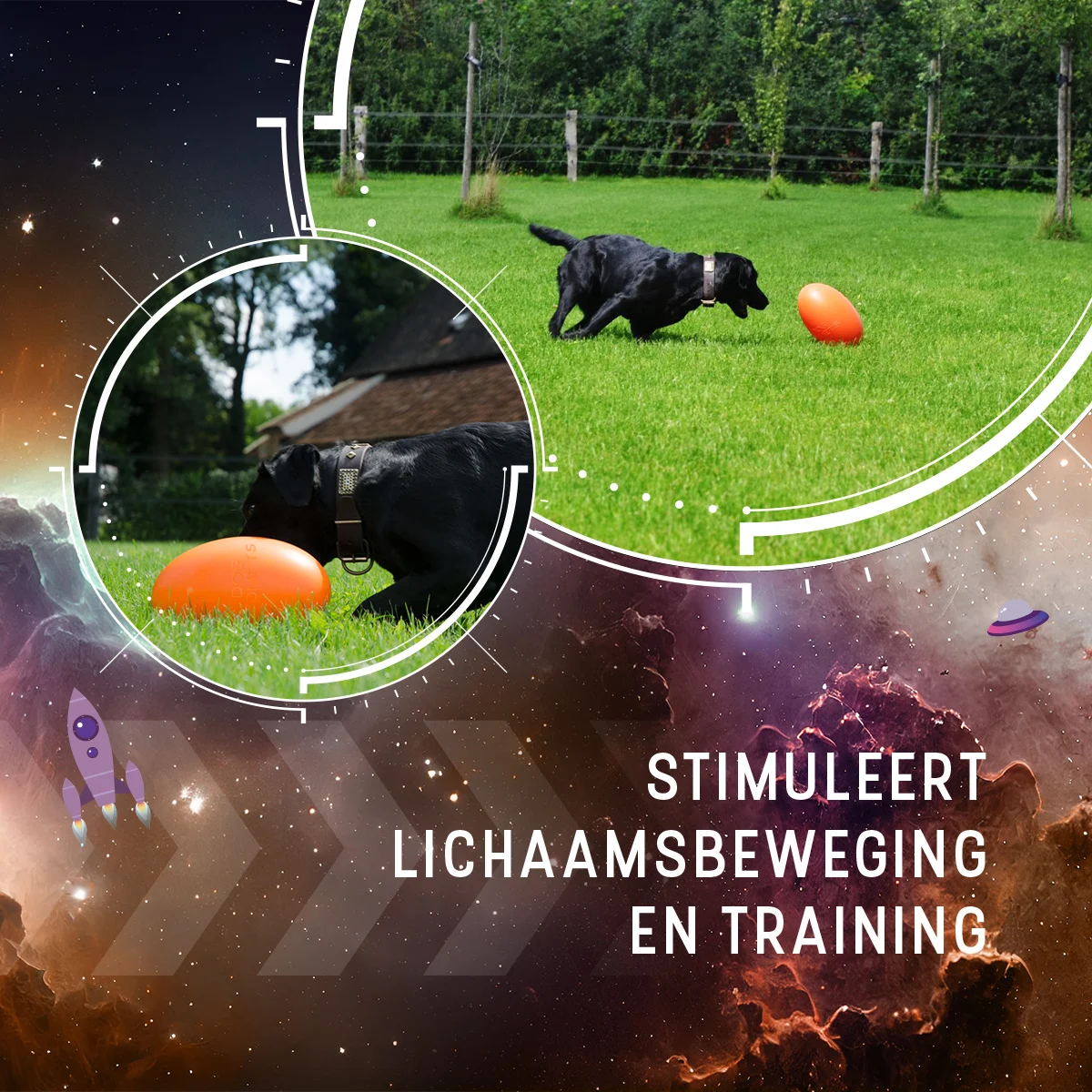Zabawka do aportowania dla psów, pływająca, 30 cm, pomarańczowa – Dog Comets Pan-Stars - obrazek 5