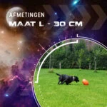Zabawka do aportowania dla psów, pływająca, 30 cm, pomarańczowa – Dog Comets Pan-Stars - obrazek 3