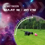 Zabawka do aportowania dla psa, pływająca, 20 cm, różowa – Dog Comets Pan-Stars - obrazek 3