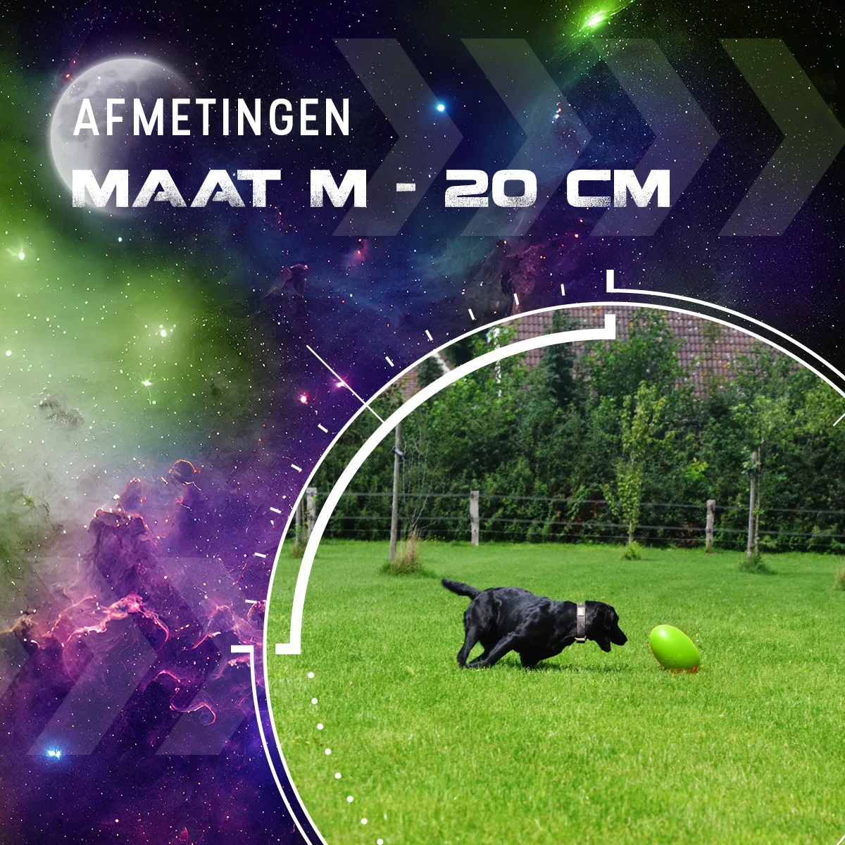 Zabawka do aportowania dla psów, pływająca, 20 cm, zielona – Dog Comets Pan-Stars - obrazek 3