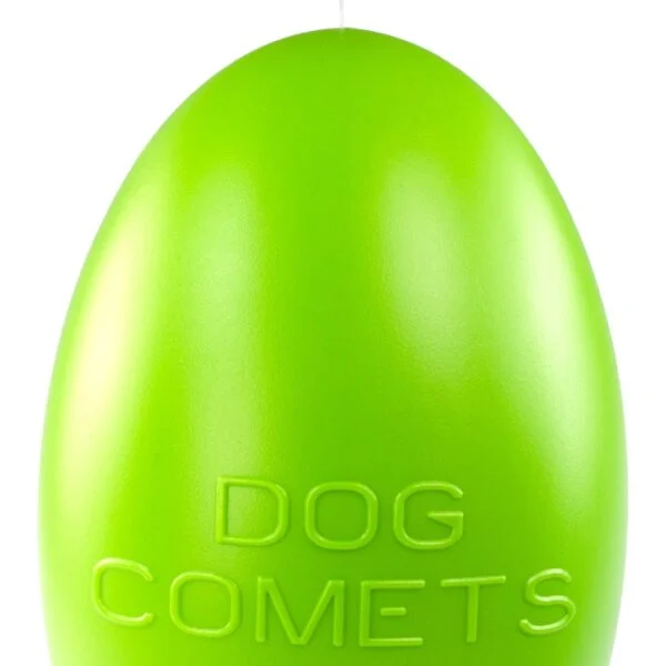 Zabawka do aportowania dla psów, pływająca, 30 cm, zielona – Dog Comets Pan-Stars