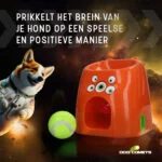 Zabawka do aportowania z nagrodą w postaci przysmaku, w zestawie 1 piłka tenisowa – Dog Comets D1spencer Fetch and Treat - obrazek 6