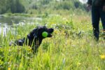 Gryzak do aportowania z gumy z piszczałką L, 32 cm, zielony – Dog Comets Meteor - obrazek 4
