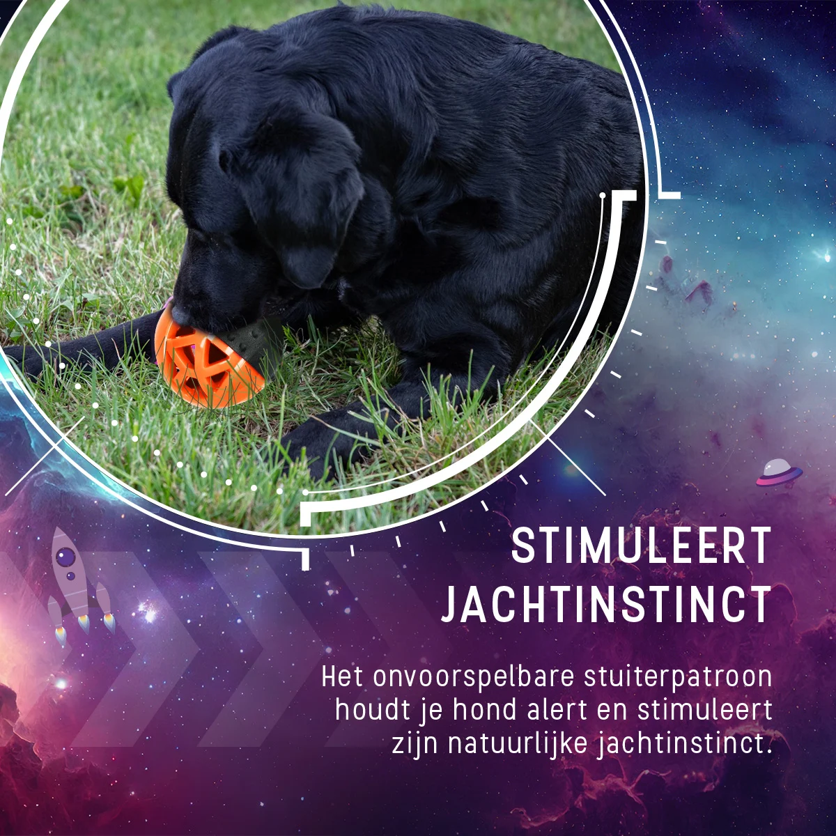 Gumowa piłka na przysmaki z piszczałką, pomarańczowa – Dog Comets Moonstone - obrazek 6