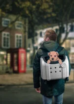 Torba transportowa dla psa z funkcją plecaka, szara, 40 x 25 x 31 cm – Compaws Trolley London - obrazek 2