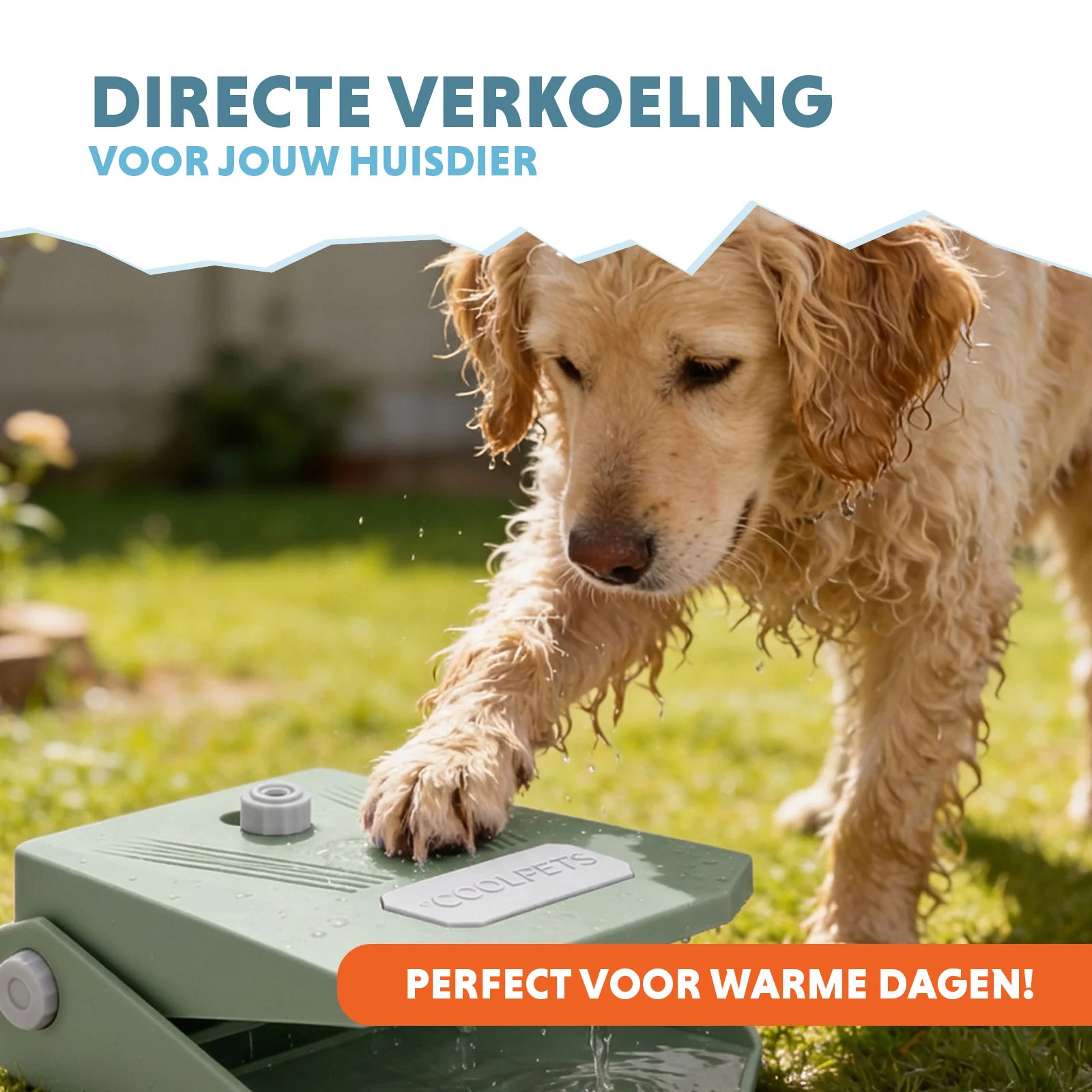 Fontanna dla psa z pedałem nożnym i przyłączem do węża ogrodowego, oliwkowozielona – Coolpets Splash Water Fountain - obrazek 2