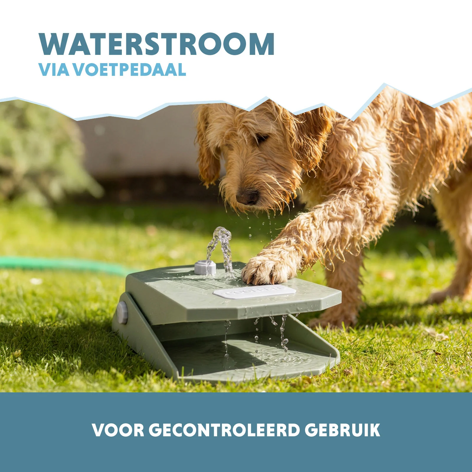 Fontanna dla psa z pedałem nożnym i przyłączem do węża ogrodowego, oliwkowozielona – Coolpets Splash Water Fountain - obrazek 4
