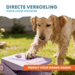 Fontanna z pedałem i podłączeniem do węża ogrodowego, liliowa – Coolpets Splash Water Fountain - obrazek 2
