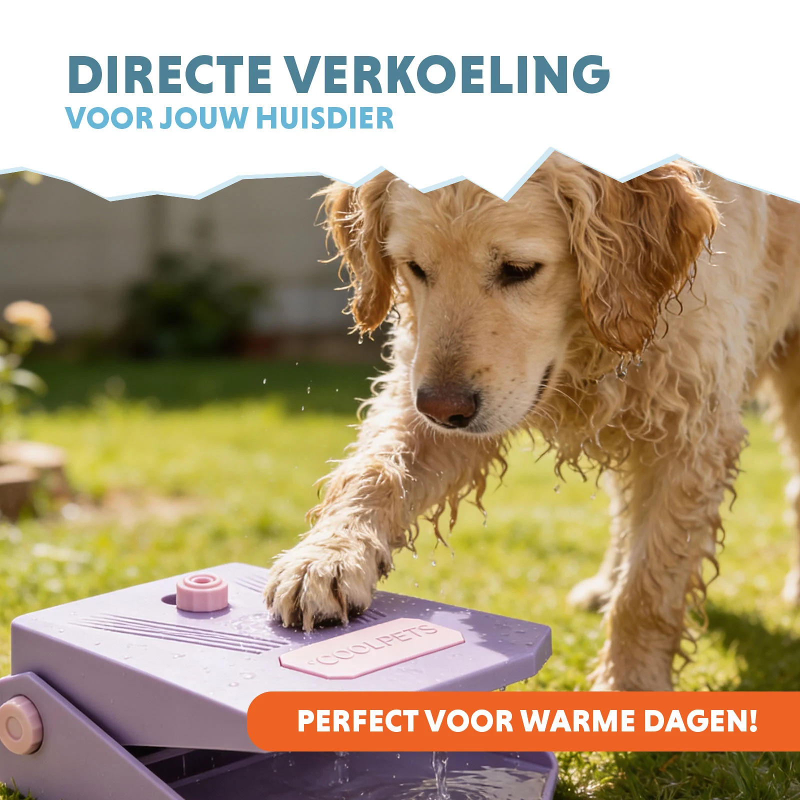 Fontanna z pedałem i podłączeniem do węża ogrodowego, liliowa – Coolpets Splash Water Fountain - obrazek 2