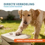 Fontanna wodna z pedałem nożnym i przyłączem do węża ogrodowego, beżowa – Coolpets Splash Water Fountain - obrazek 2