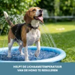 Mata zraszająca dla psów z przyłączem do węża ogrodowego, M 150 cm – Coolpets Splash Sprinkler Pad - obrazek 6