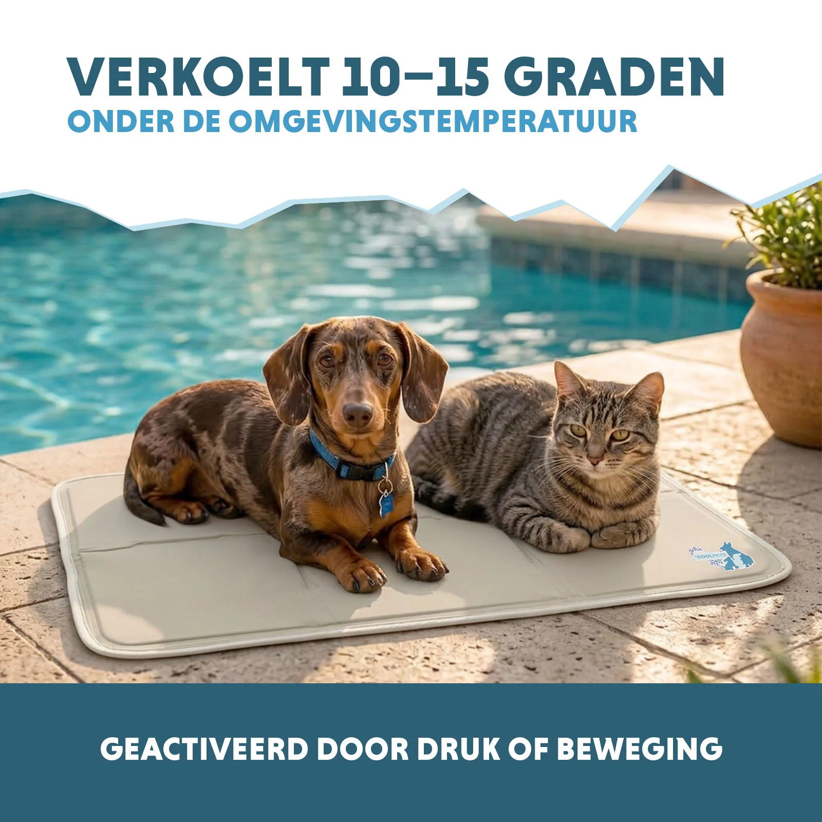 Mata chłodząca dla psów z żelem stałym, beżowa, M, 76 x 50 cm – Coolpets Gel Cooling Mat - obrazek 4