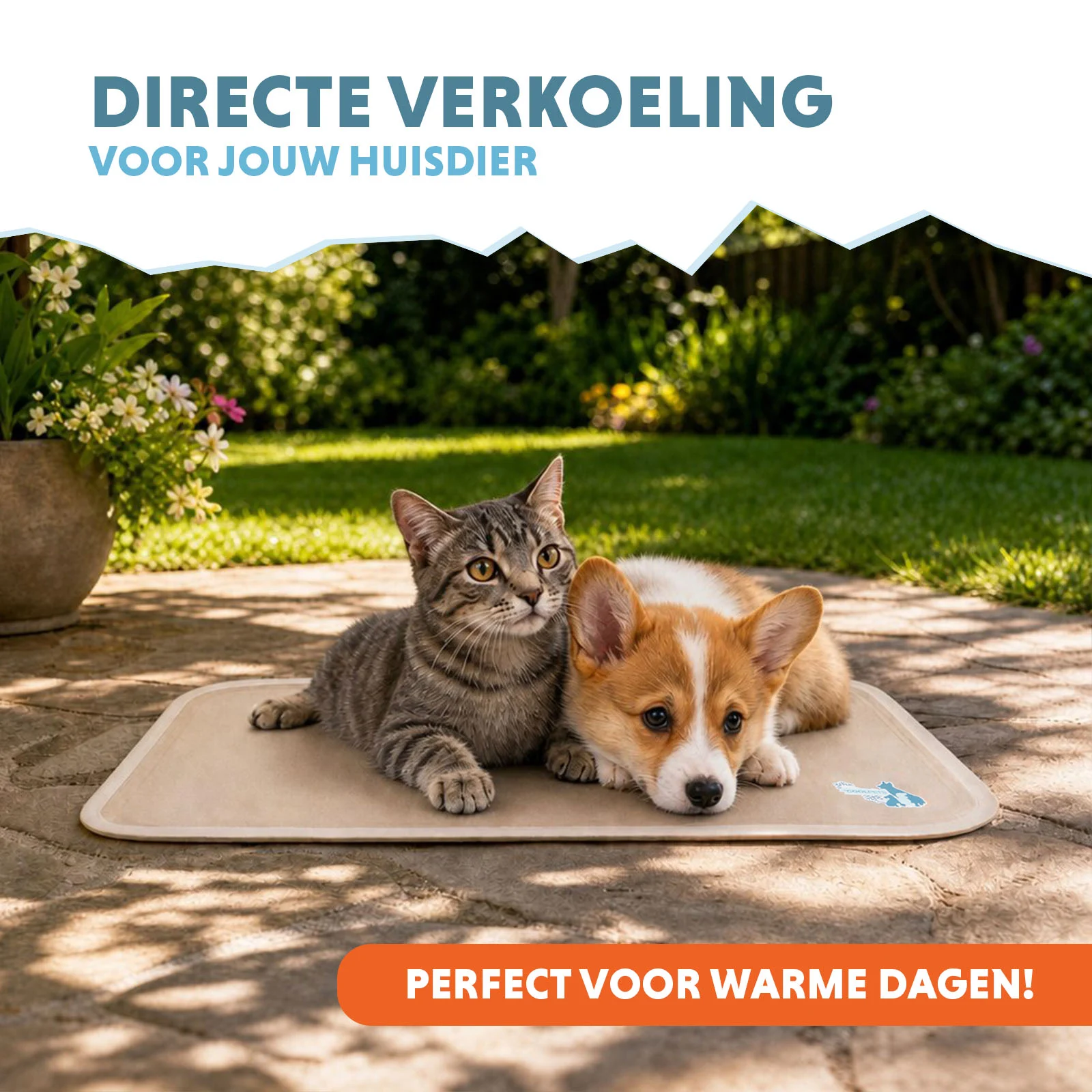 Mata chłodząca dla psów z żelem stałym, beżowa, S 50 x 40 cm – Coolpets Gel Cooling Mat - obrazek 2