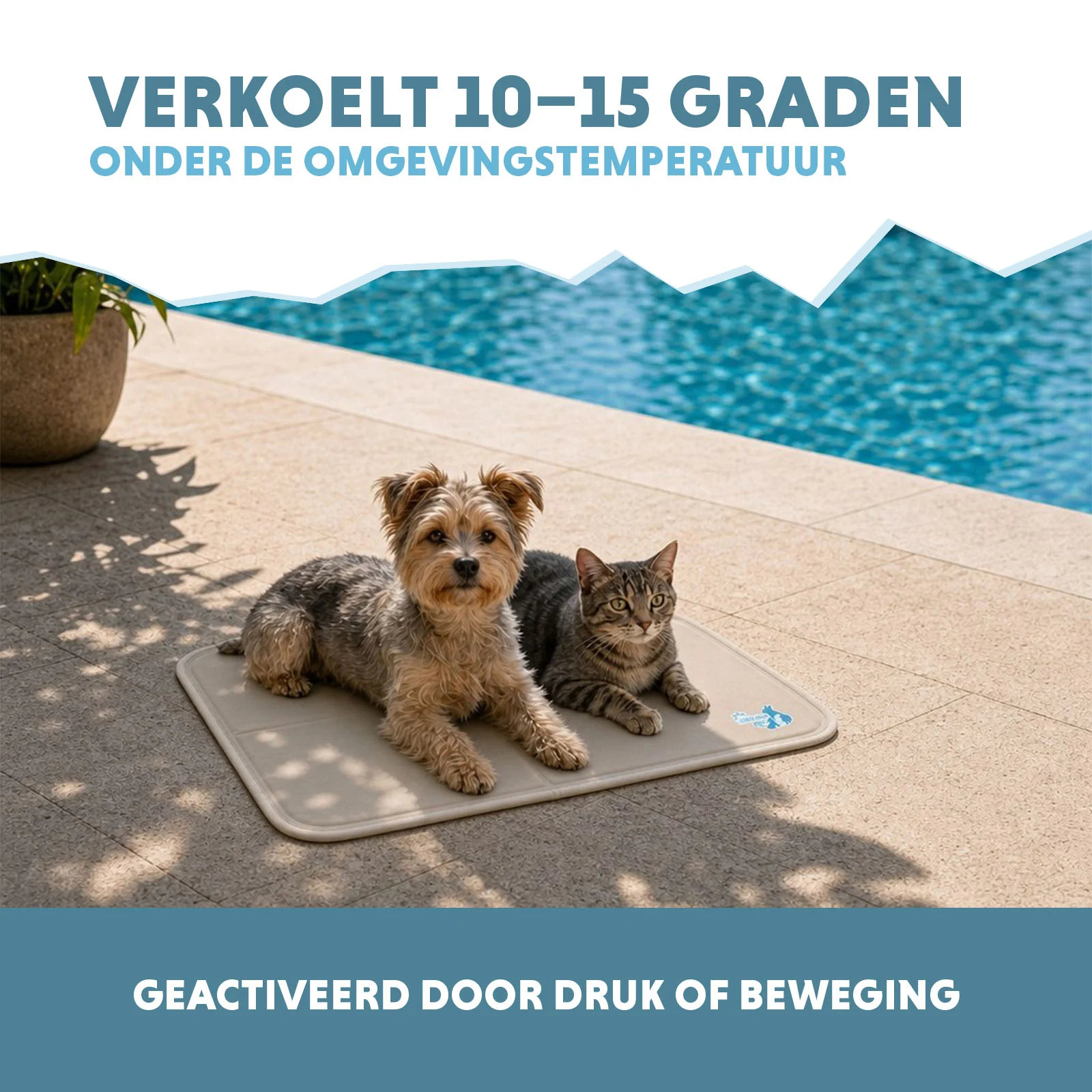 Mata chłodząca dla psów z żelem stałym, beżowa, S 50 x 40 cm – Coolpets Gel Cooling Mat - obrazek 4