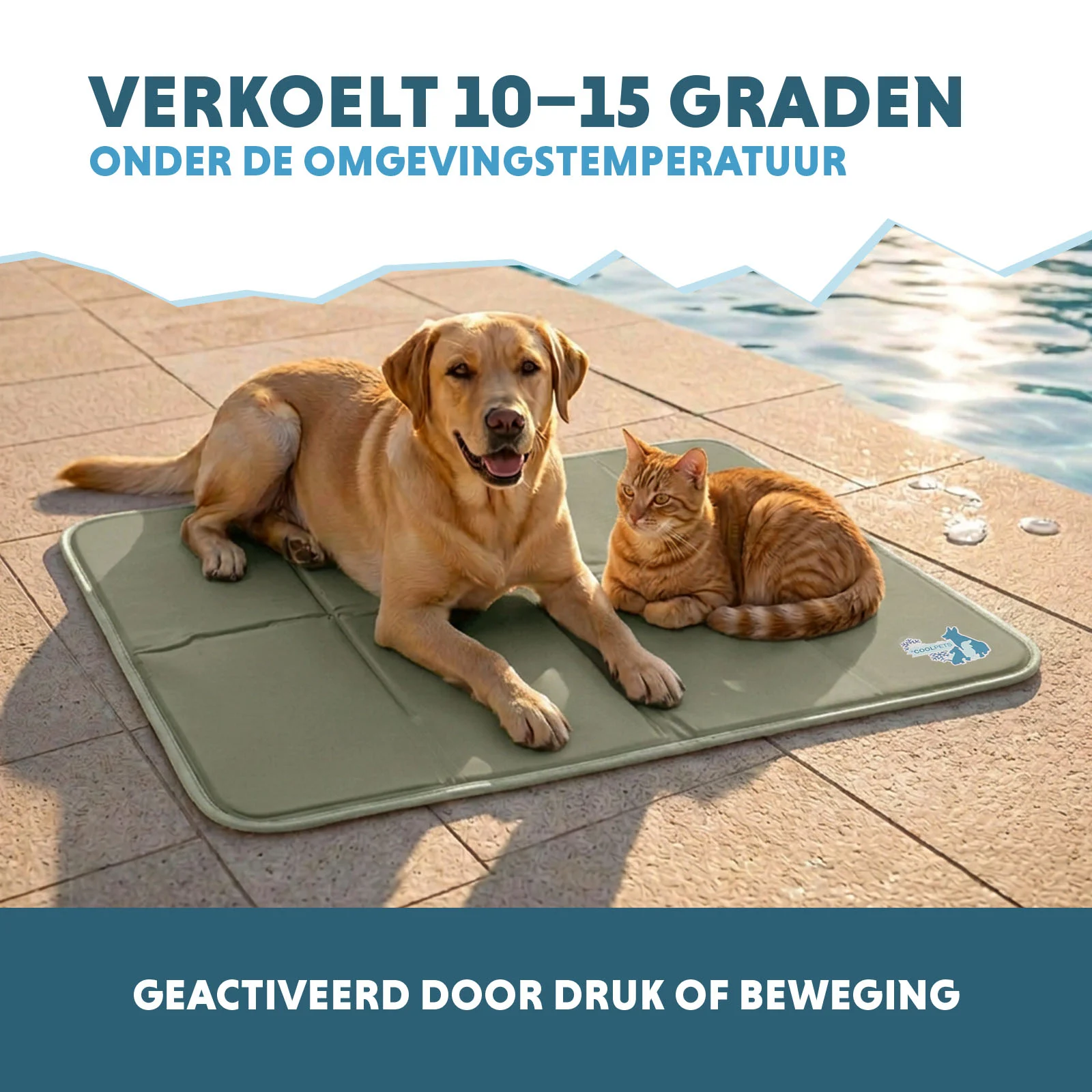 Mata chłodząca dla psów z żelem stałym, oliwkowa, L 90 x 60 cm – Coolpets Gel Cooling Mat - obrazek 4