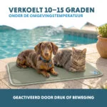 Mata chłodząca dla psów z żelem stałym, oliwkowozielona, M 76 x 50 cm – Coolpets Gel Cooling Mat - obrazek 4