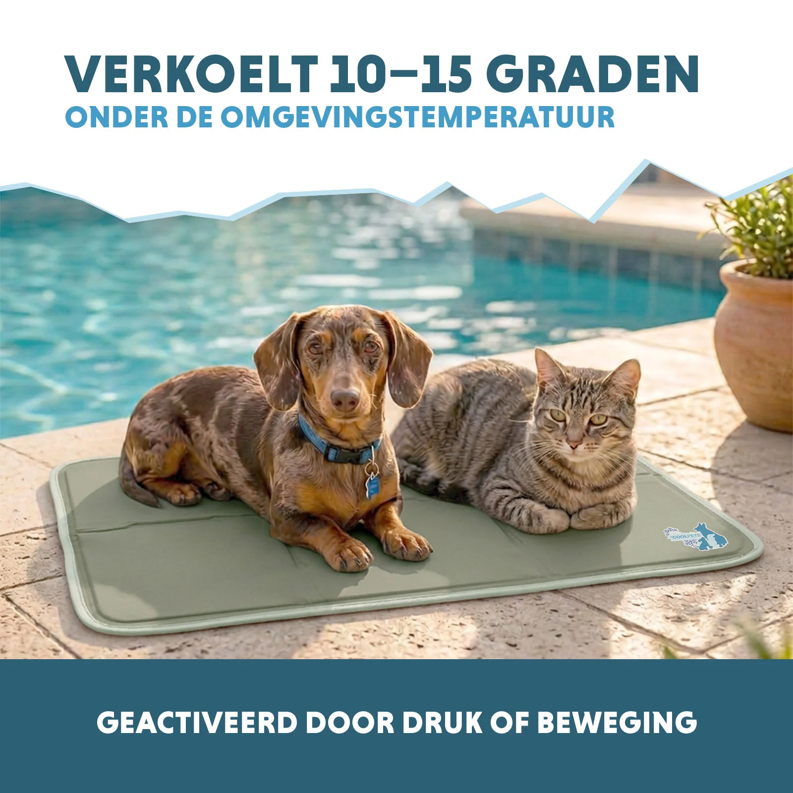 Mata chłodząca dla psów z żelem stałym, oliwkowozielona, M 76 x 50 cm – Coolpets Gel Cooling Mat - obrazek 4