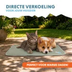Mata chłodząca dla psów ze stałym żelem, oliwkowa, S 50 x 40 cm – Coolpets Gel Cooling Mat - obrazek 2