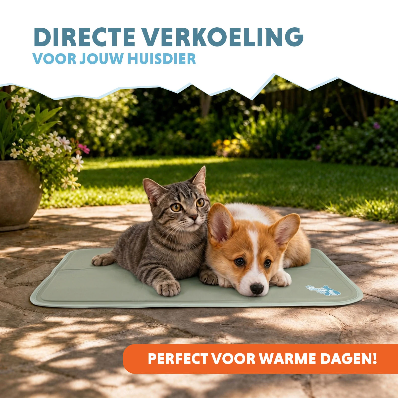 Mata chłodząca dla psów ze stałym żelem, oliwkowa, S 50 x 40 cm – Coolpets Gel Cooling Mat - obrazek 2