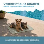 Mata chłodząca dla psów ze stałym żelem, oliwkowa, S 50 x 40 cm – Coolpets Gel Cooling Mat - obrazek 4