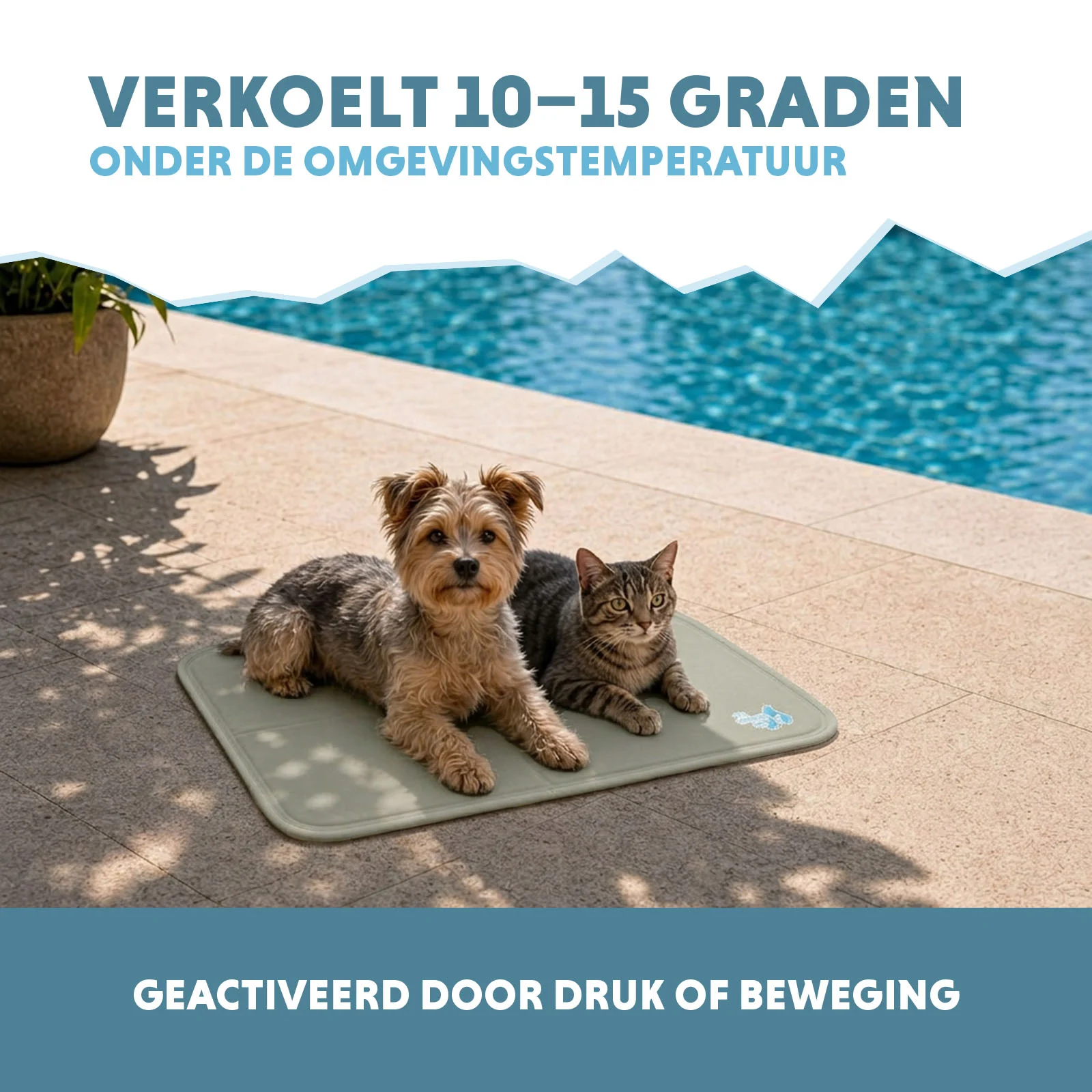 Mata chłodząca dla psów ze stałym żelem, oliwkowa, S 50 x 40 cm – Coolpets Gel Cooling Mat - obrazek 4