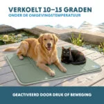 Mata chłodząca dla psów z żelem stałym, oliwkowa, XL 120 x 70 cm – Coolpets Gel Cooling Mat - obrazek 4