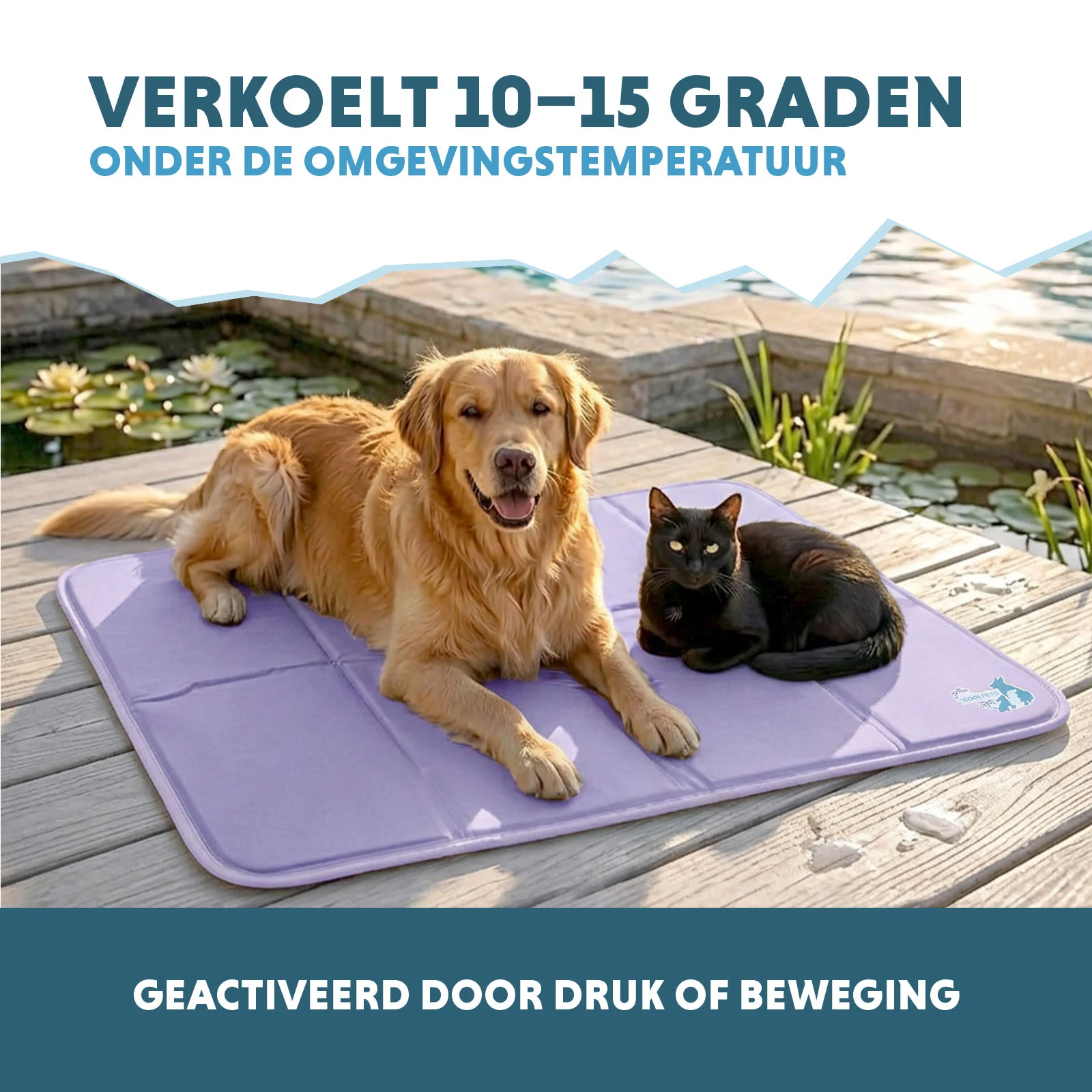 Mata chłodząca dla psów z żelem stałym, liliowa, XL 120 x 70 cm – Coolpets Gel Cooling Mat - obrazek 4