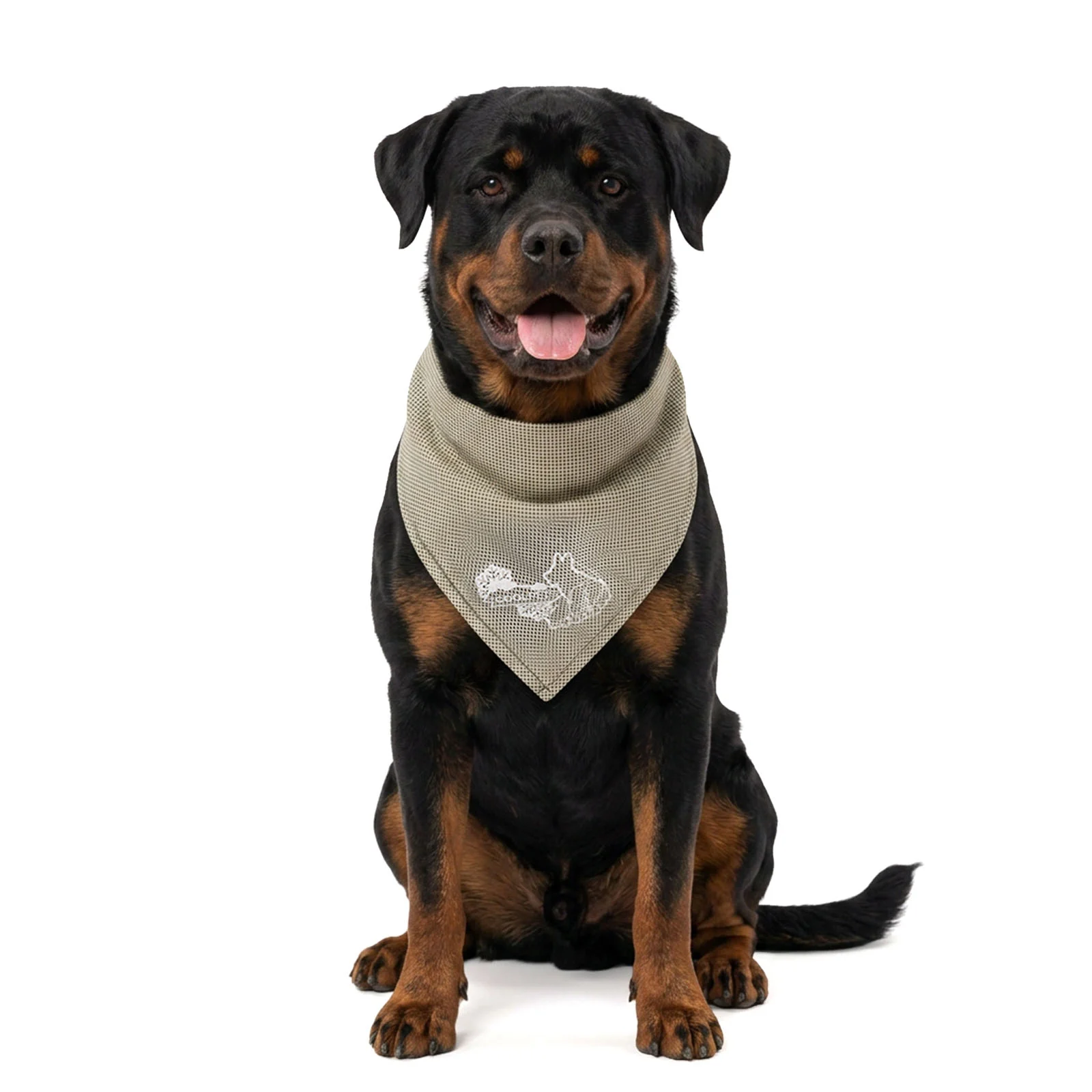 Chłodząca bandana dla psów, beżowa, L, 85 x 40 cm – Coolpets Cooling Bandana - obrazek 1